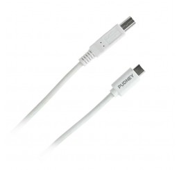 Pudney USB C Plug to USB B Plug V2.0 2 Metre White
