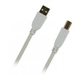 PUDNEY USB A PLUG TO USB B PLUG V2.0 1 METRE WHITE